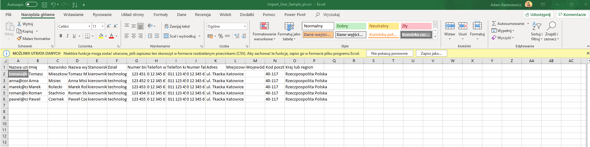 Widok pliku przykładowego